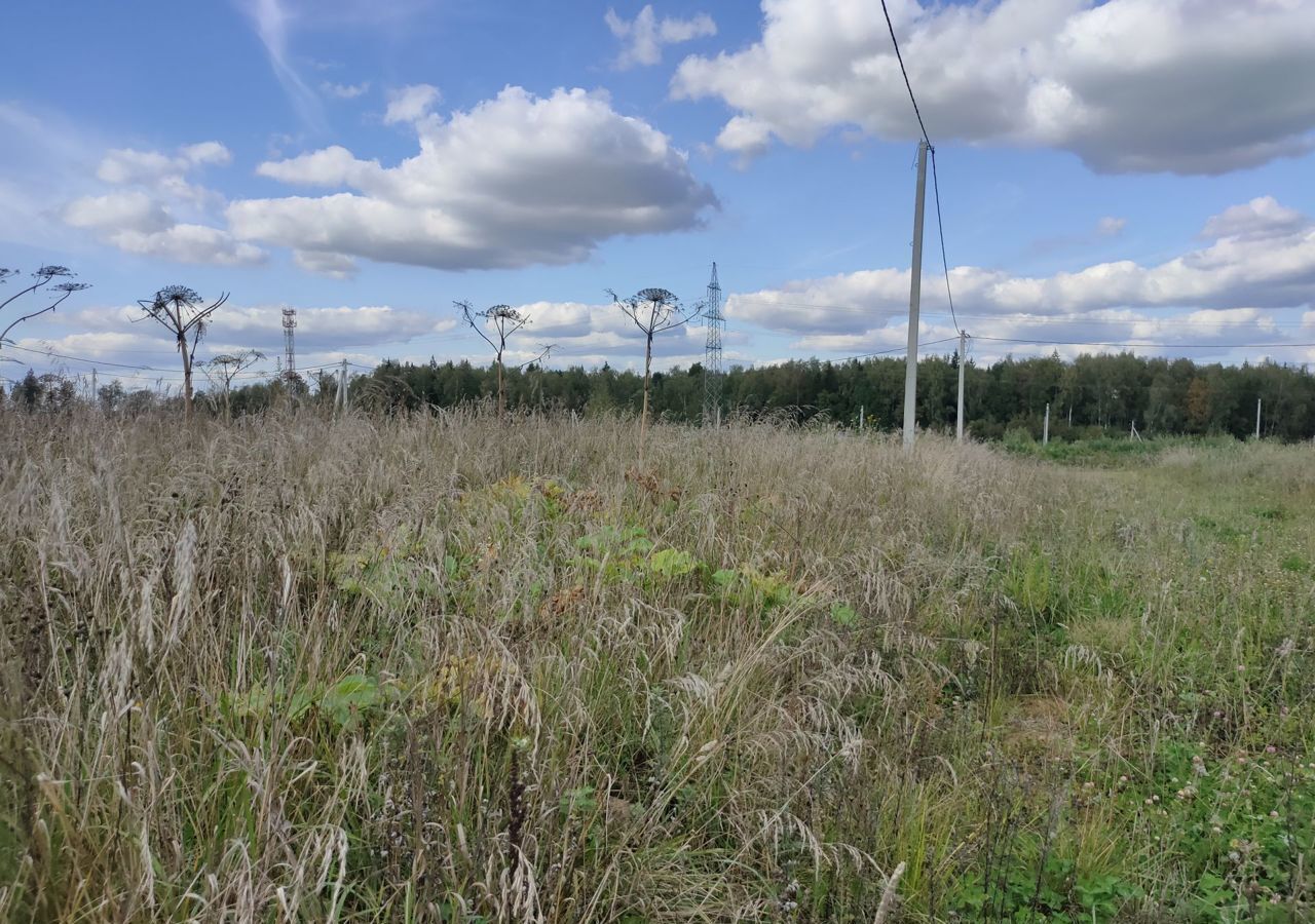 земля городской округ Наро-Фоминский д Свитино Апрелевка фото 11