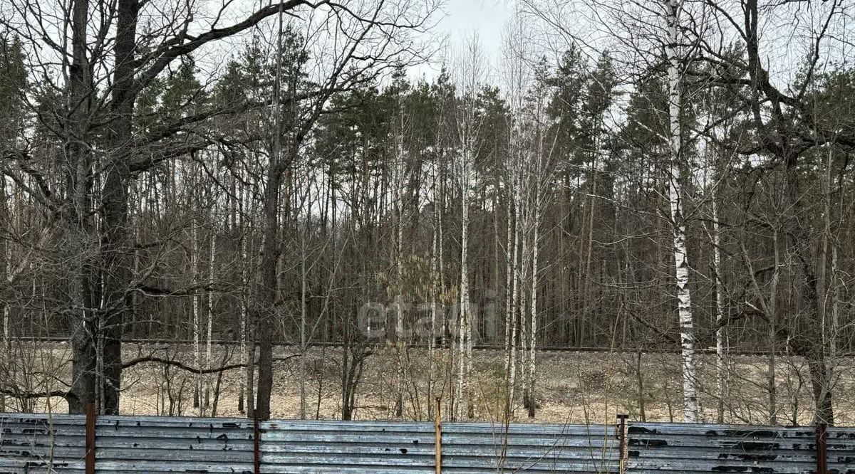 производственные, складские р-н Брасовский д Погребы ул Заводская 1 Погребское с/пос фото 18