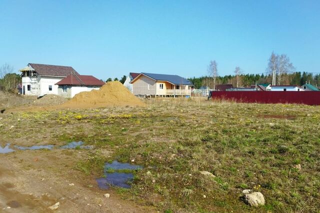 Сосновоборский городской округ, Дачное некоммерческое товарищество Чибис фото