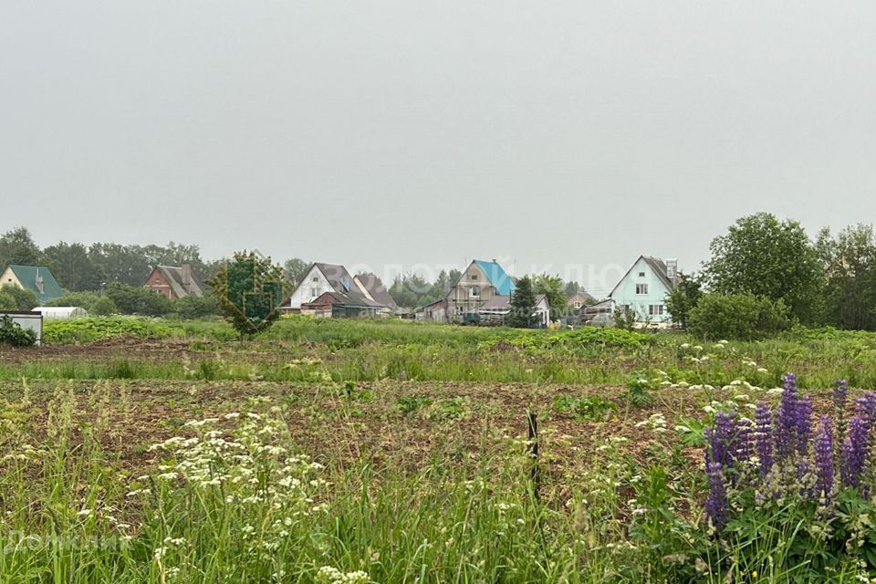 земля городской округ Шаховская деревня Новоникольское фото 2