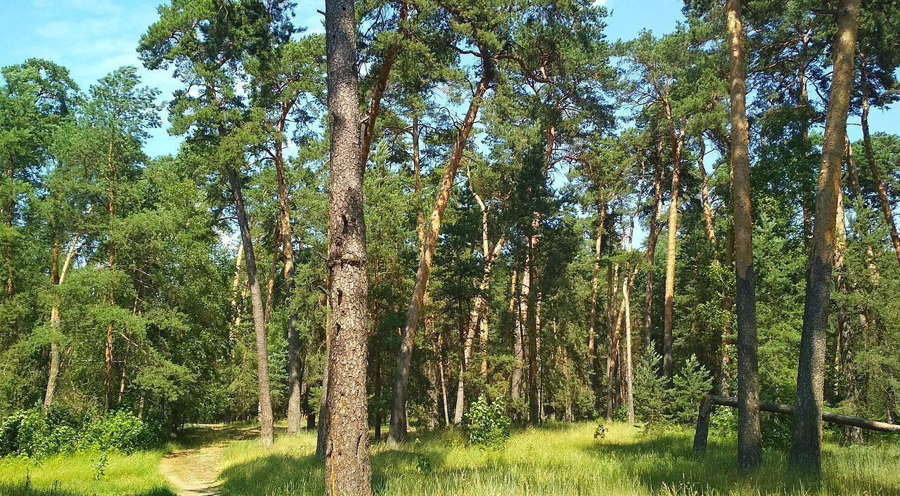 земля городской округ Серпухов г. о. Серпухов, Оболенск, д. Акулово фото 36