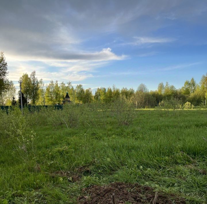 земля городской округ Клин д Тиликтино фото 10