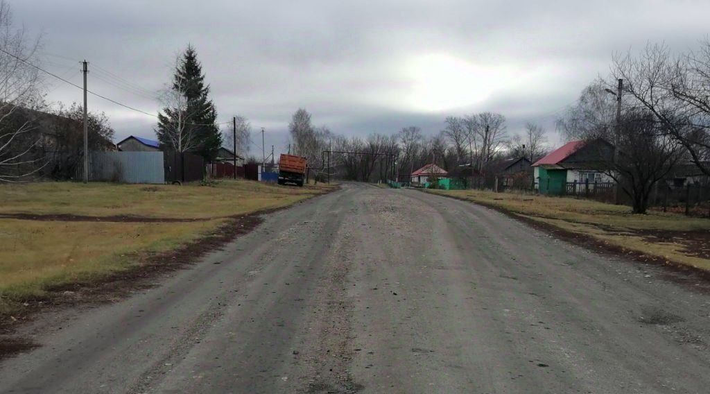 дом р-н Бессоновский д Александровка сельсовет, Сосновский фото 6