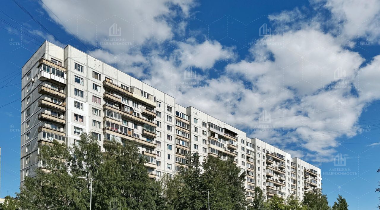 квартира г Санкт-Петербург метро Озерки пр-кт Суздальский 3к/2 фото 15