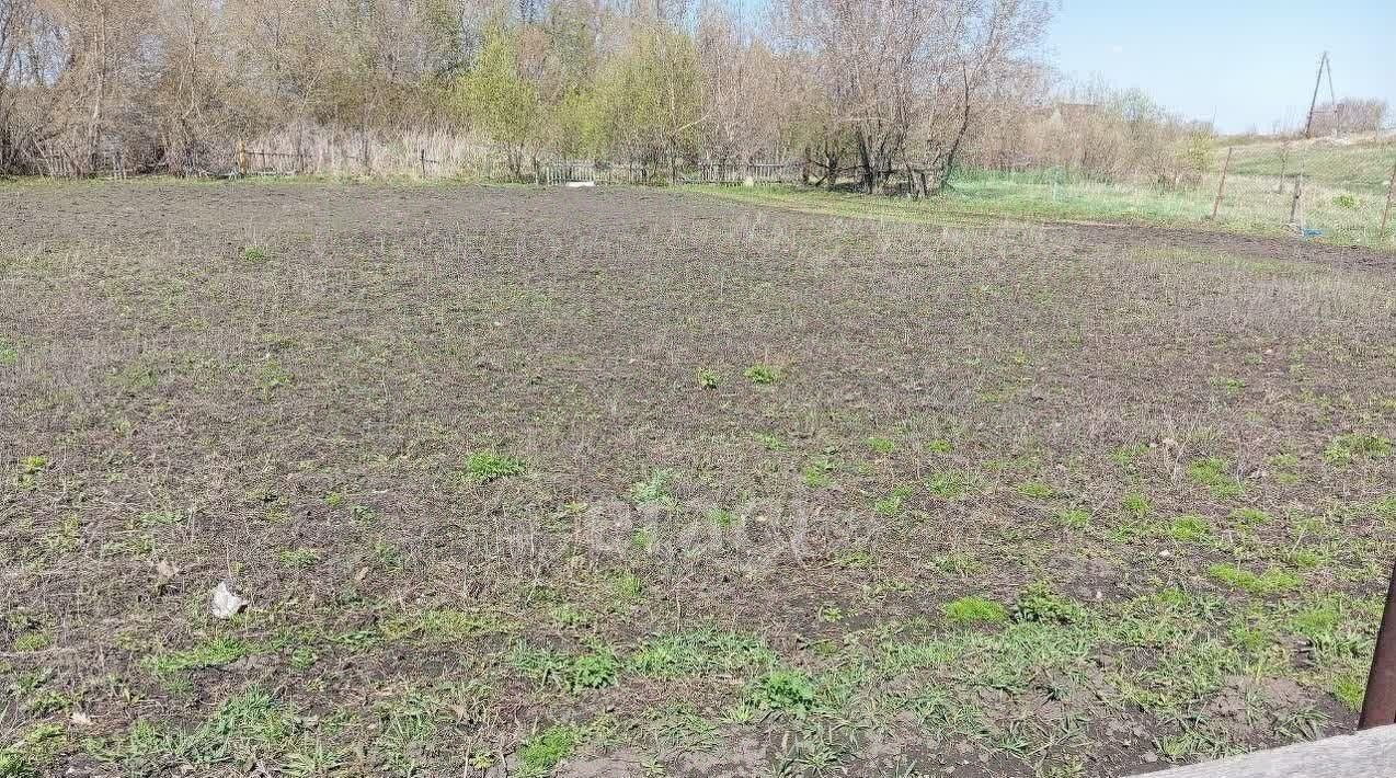 земля р-н Первомайский с Баюновские Ключи ул Новая 1 фото 2