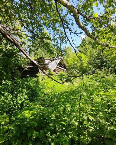 ул Островского Шерегешское городское поселение фото