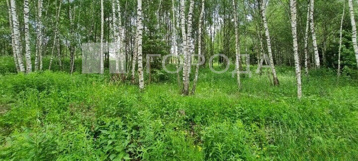 земля городской округ Дмитровский д Шадрино фото 3