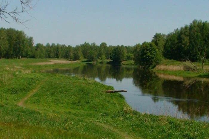 земля городской округ Пушкинский коттеджный пос. Грибово Лайф, 79, Пушкино фото 4