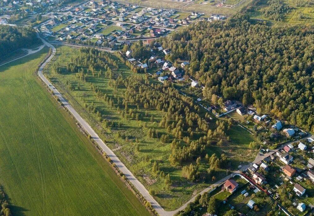 земля городской округ Пушкинский коттеджный пос. Грибово Лайф, 79, Пушкино фото 3