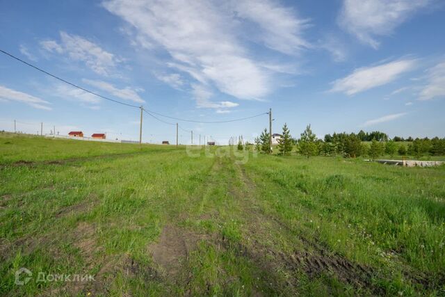 земля деревня Кулушево фото