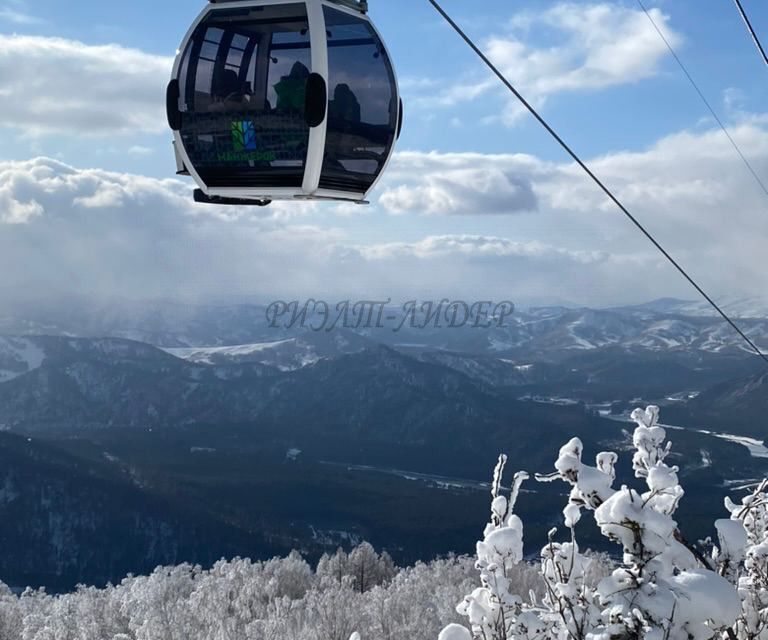 земля р-н Майминский с Озерное ул Центральная фото 1