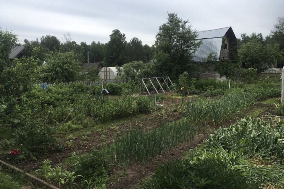 земля городской округ Пермь, 54, СНТ Мечта фото 2