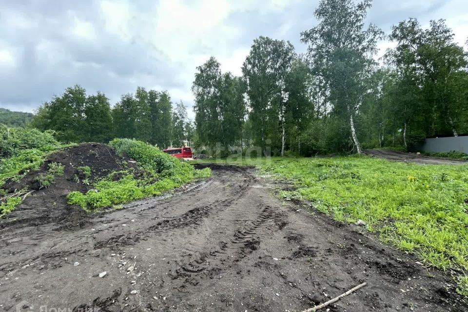 земля р-н Алтайский с Нижнекаянча ул Центральная 54 фото 3