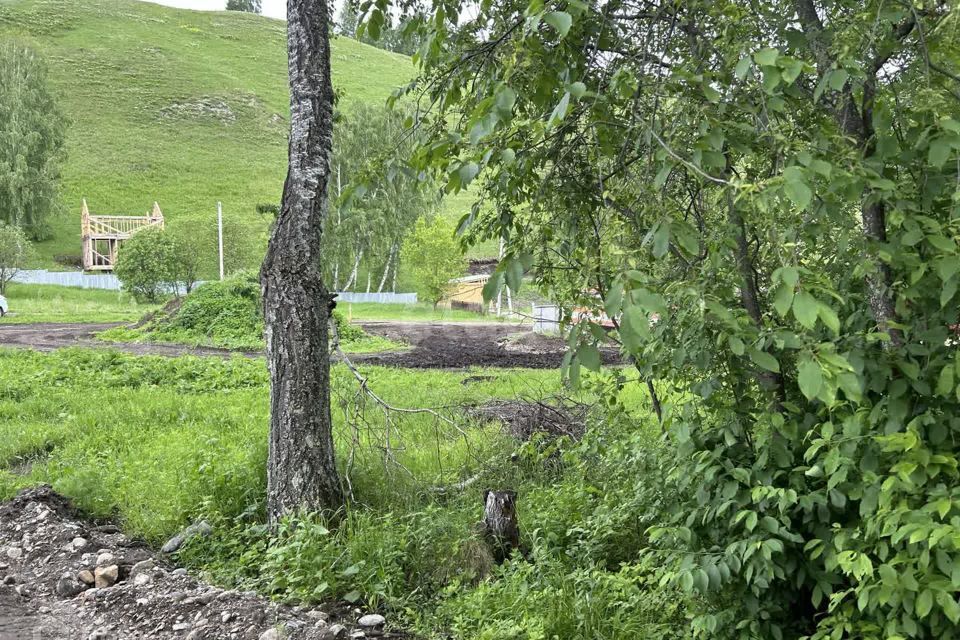 земля р-н Алтайский с Нижнекаянча ул Центральная 54 фото 4