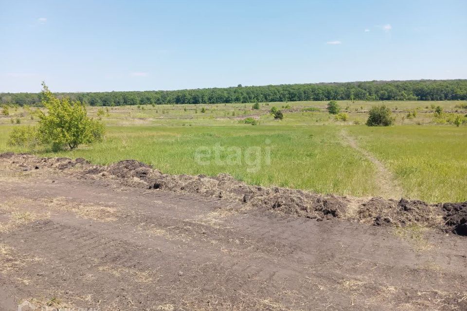 земля г Старый Оскол микрорайон Пушкарские Дачи-2, Старооскольский городской округ фото 4