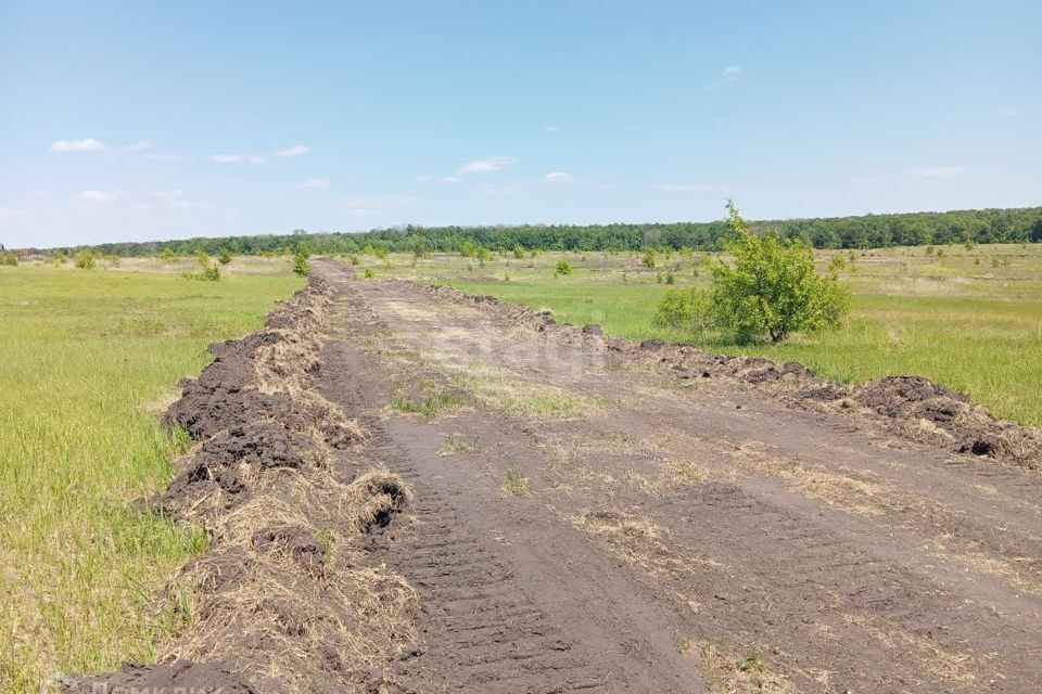 земля г Старый Оскол микрорайон Пушкарские Дачи-2, Старооскольский городской округ фото 3