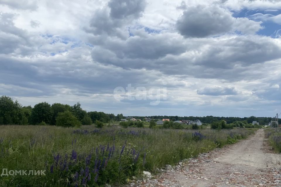 земля р-н Зеленоградский посёлок Кузнецкое фото 2