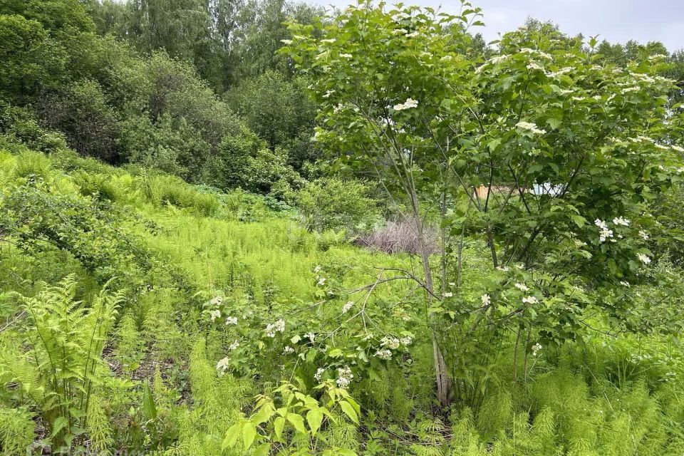 земля г Горно-Алтайск городской округ Горно-Алтайск, СНТ Электрик фото 3