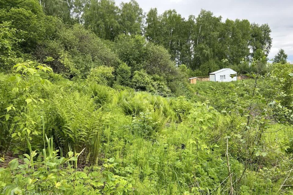 земля г Горно-Алтайск городской округ Горно-Алтайск, СНТ Электрик фото 4