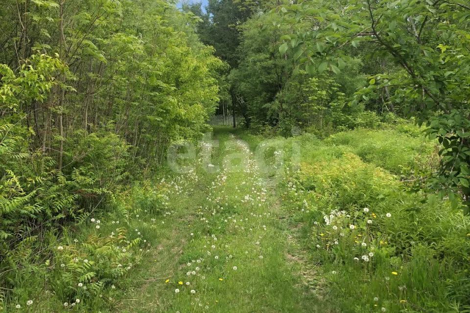 земля р-н Хабаровский село Корсаково-1 фото 2