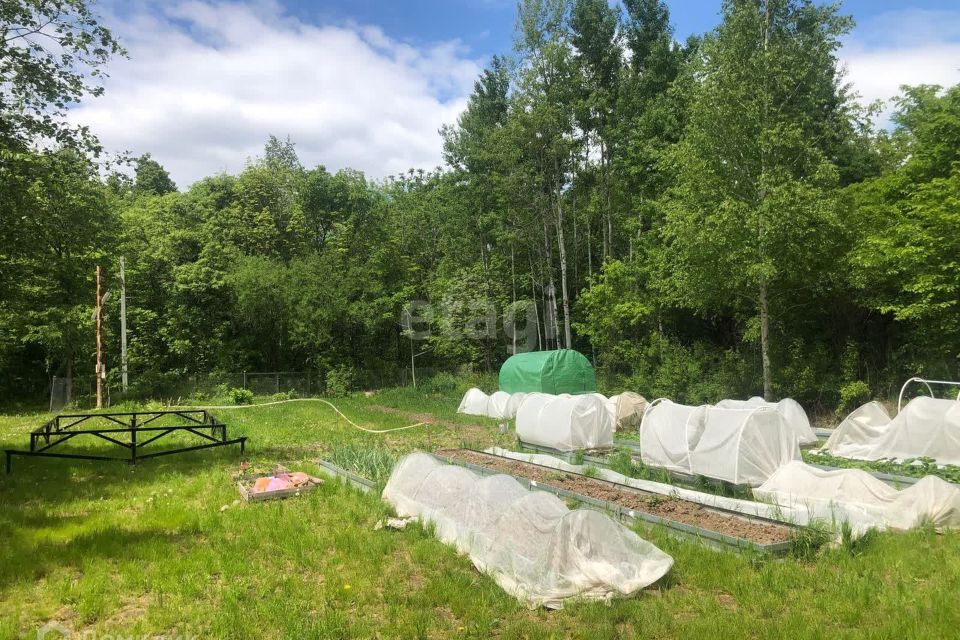 земля р-н Хабаровский село Корсаково-1 фото 3