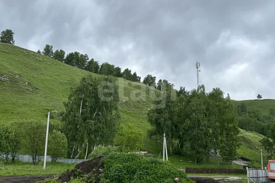 земля р-н Алтайский с Нижнекаянча ул Центральная 54 фото 5