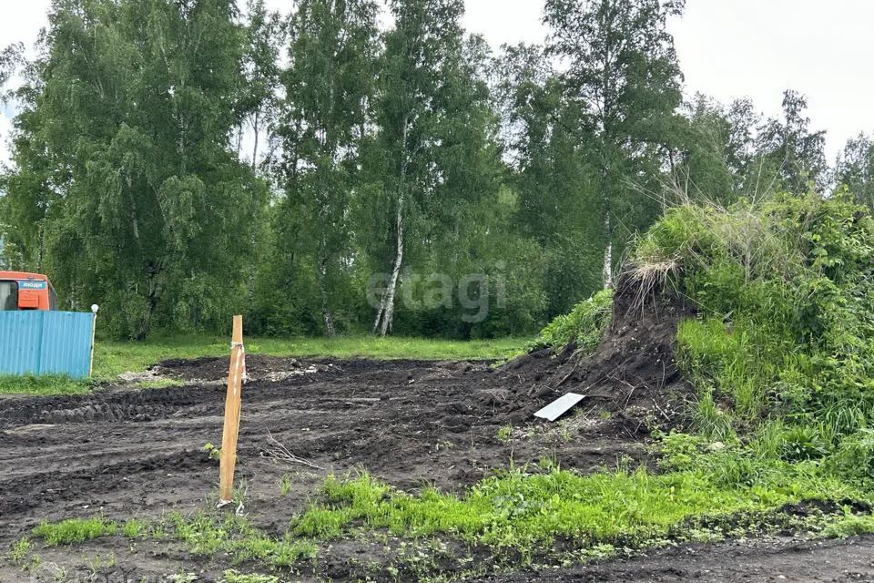 земля р-н Алтайский с Нижнекаянча ул Центральная 54 фото 7