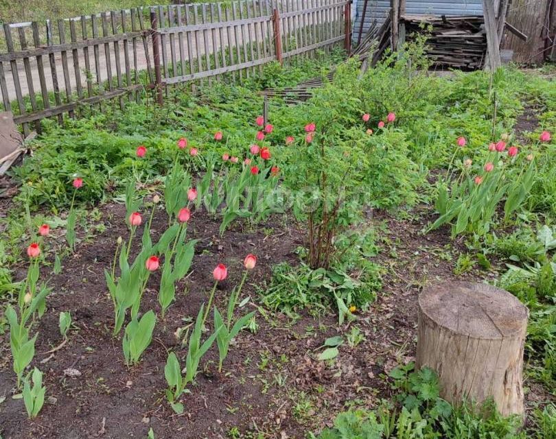 земля г Новосибирск р-н Дзержинский Дзержинский район, городской округ Новосибирск фото 6