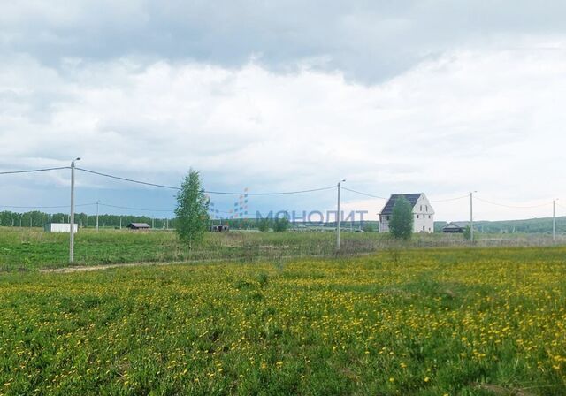 земля сад ДПК Приозерный Богородск фото