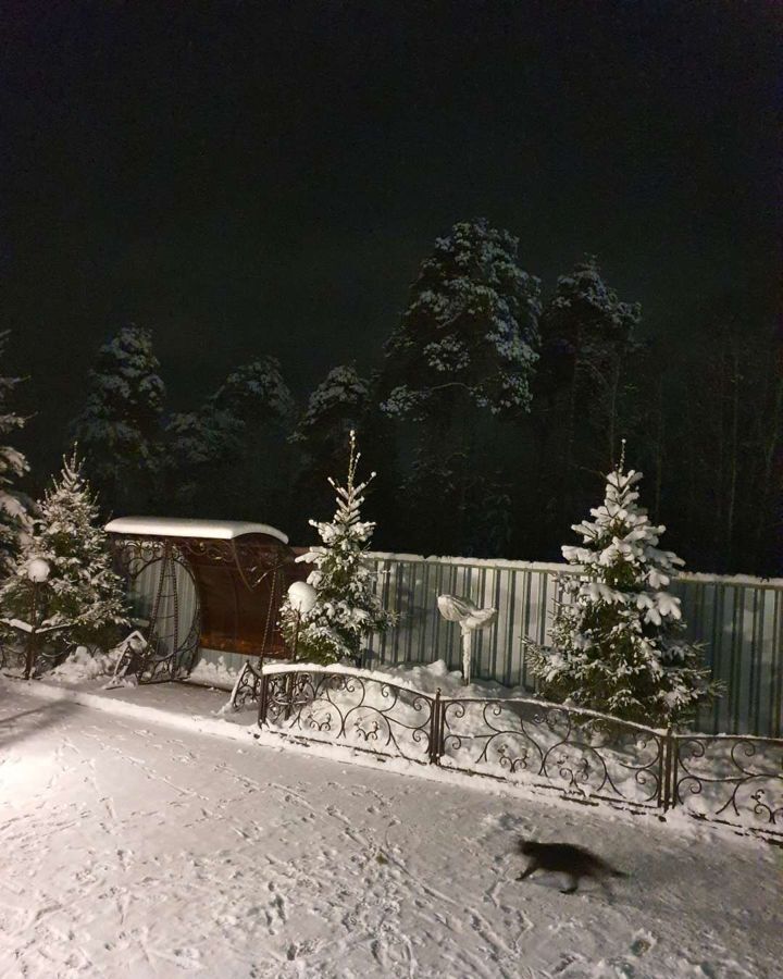 дом г Нижневартовск потребительский садово-огороднический кооператив Досуг, Тюменская обл. фото 19