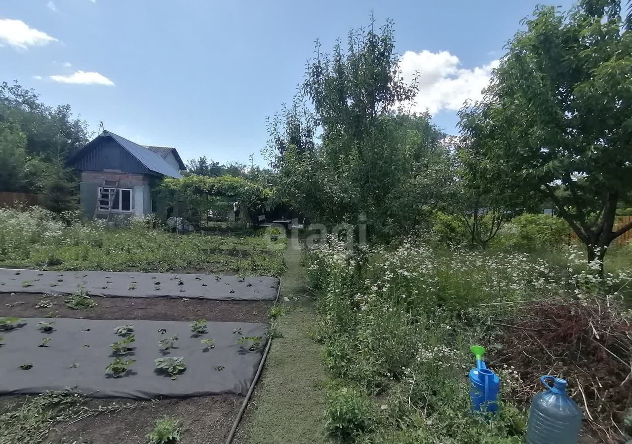 дом р-н Белгородский п Северный Ериковское сельское поселение, ул. Ветеранов, садоводческое товарищество, Цементник фото 16