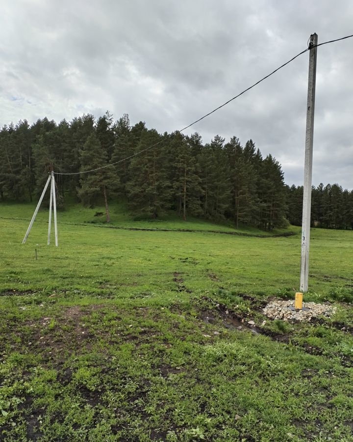 земля р-н Майминский с Александровка Горно-Алтайск фото 1