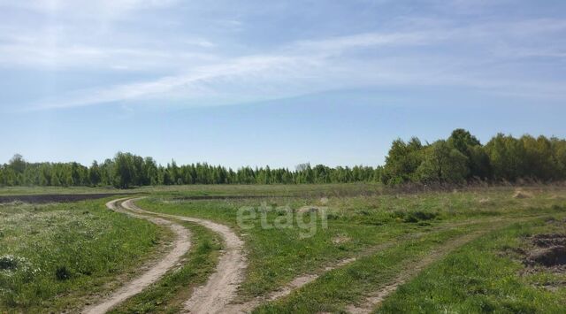 с Выгоничи Кокинское с/пос фото