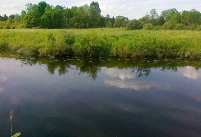 земля Рамешки фото