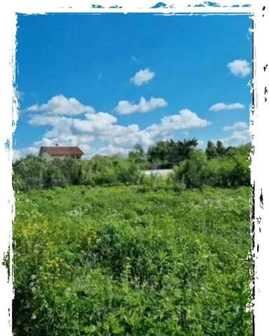 земля снт Рот-Фронт Большелуцкое сельское поселение, 1-я линия, Кингисепп фото