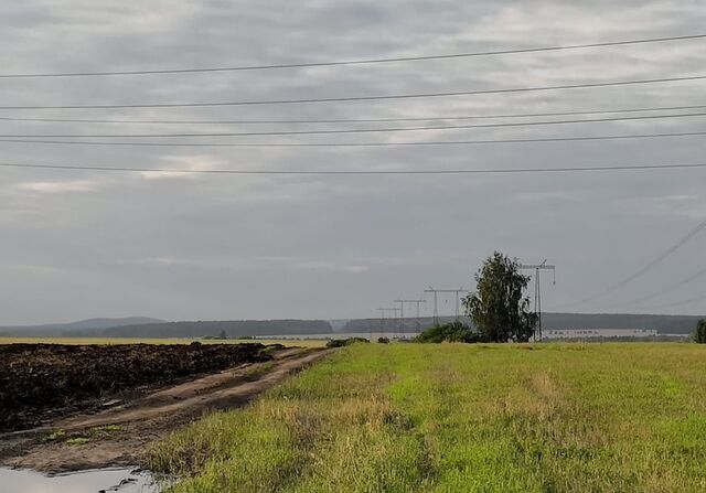 р-н Белоярский п Верхнее Дуброво фото