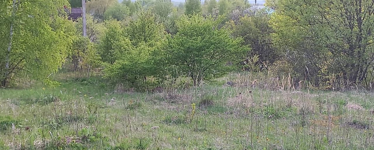 земля р-н Дубенский д Баздрево снт Здоровье Дубенский р-н, муниципальное образование Воскресенское, Дубна фото 3