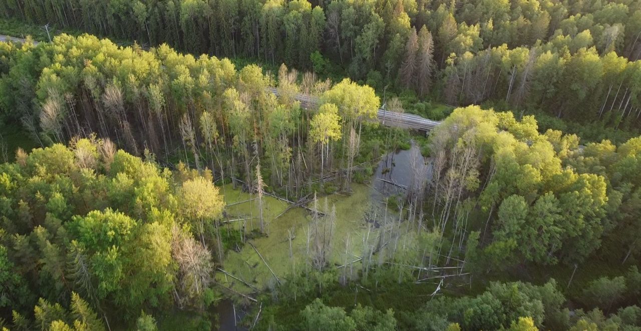 земля р-н Всеволожский 9747 км, 41К-012, Лесколово, Ленинградское шоссе фото 7