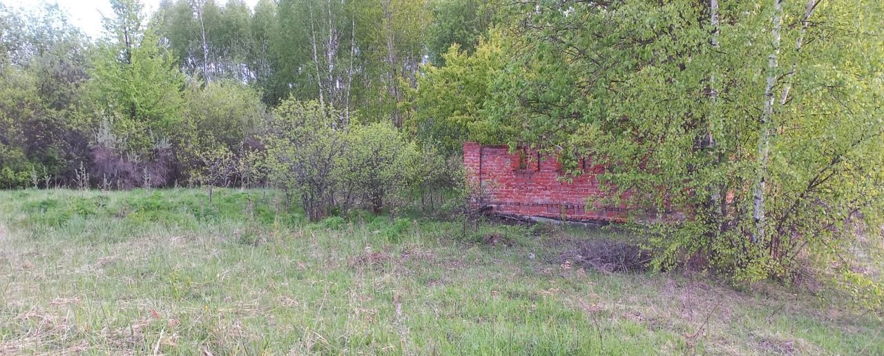 земля р-н Дубенский д Баздрево снт Здоровье Дубенский р-н, муниципальное образование Воскресенское, Дубна фото 11