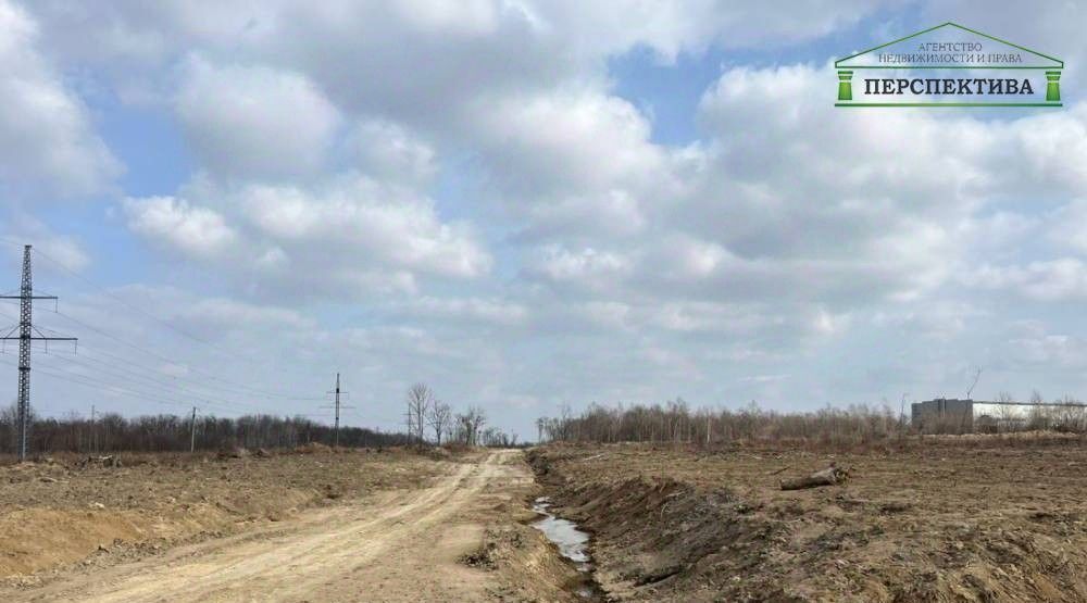 земля р-н Надеждинский с Вольно-Надеждинское ул Озерная фото 3