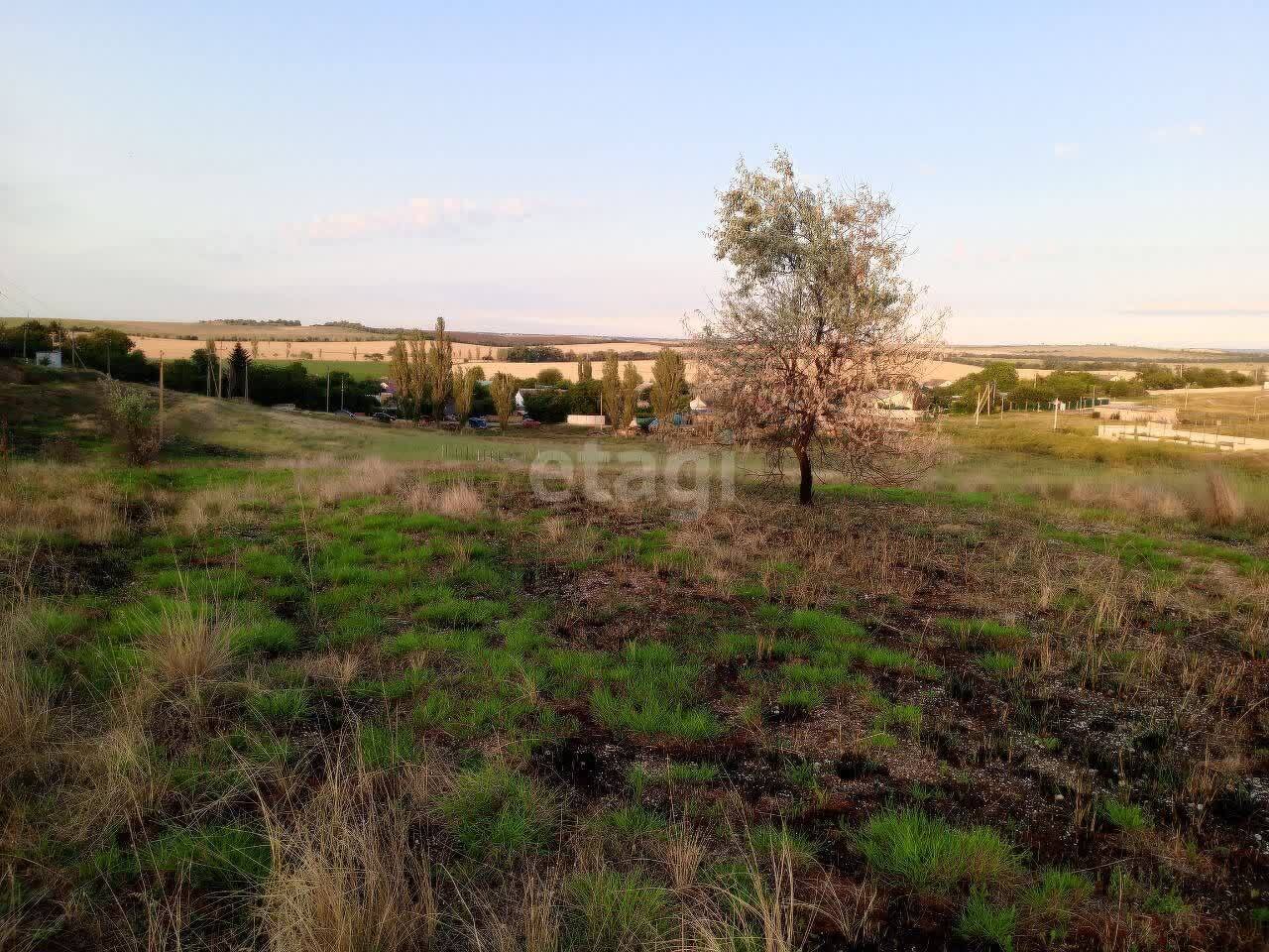 земля р-н Симферопольский с Солнечное Молодёжненское с. п., Крутая фото 4