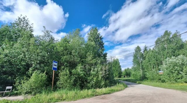 Эжвинский Сосновка садовое товарищество фото