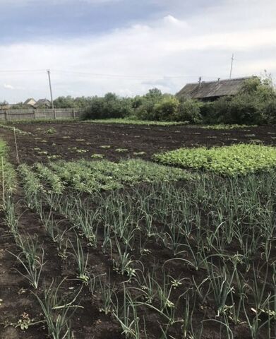 с Большая Чесноковка ул Садовая сельское поселение Елшанка, Елховка фото