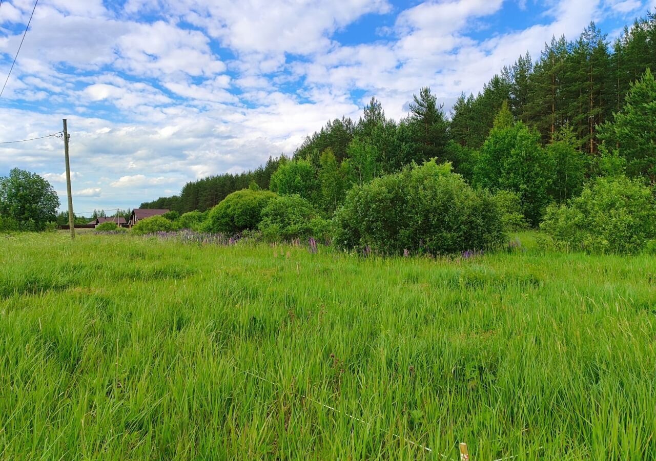 земля р-н Тосненский г Любань Любанское городское поселение фото 3