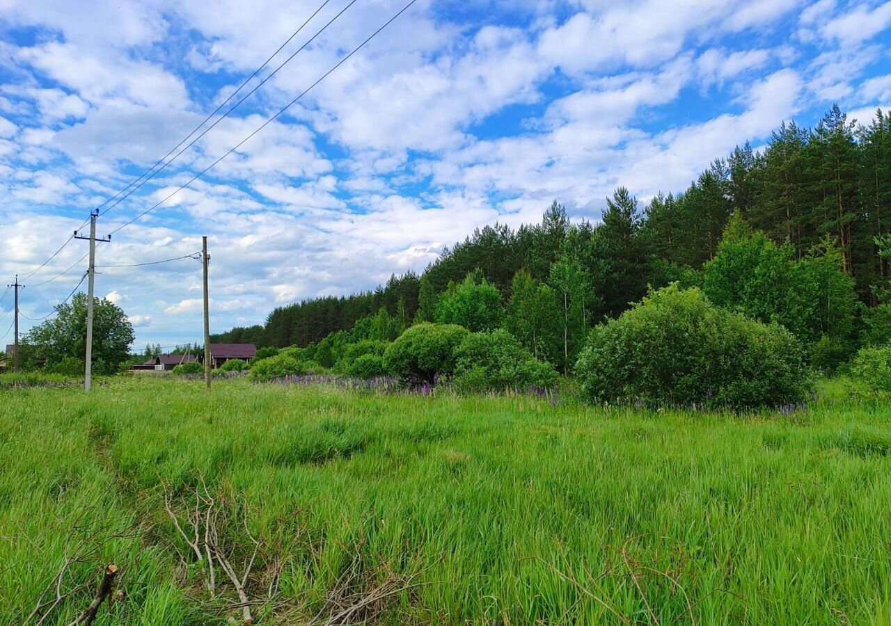 земля р-н Тосненский г Любань Любанское городское поселение фото 6