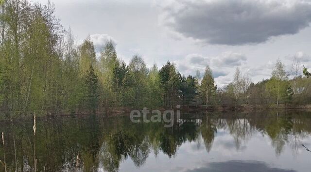 р-н Заволжский Бор, садоводческое товарищество фото