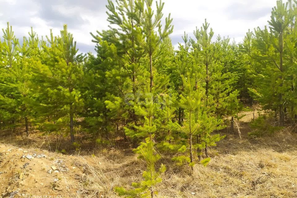 земля р-н Белоярский загородный комплекс Лайф, 5-я Парковая улица, 9 фото 1