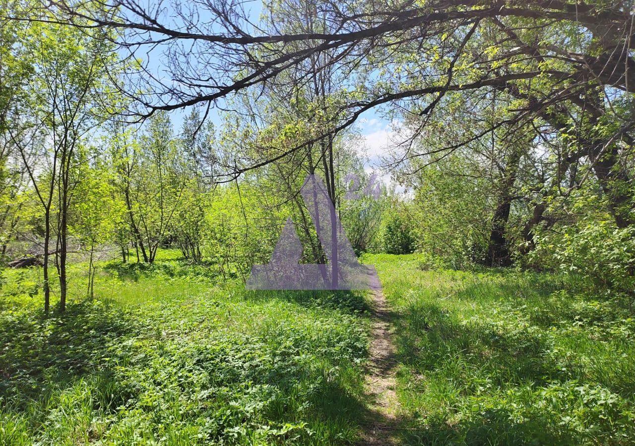 земля р-н Алтайский с Алтайское с. Алтайское фото 1