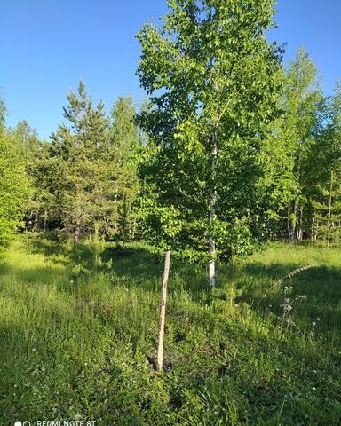 Кременкульское сельское поселение, коттеджный пос. Городок Осиновка, Челябинск фото