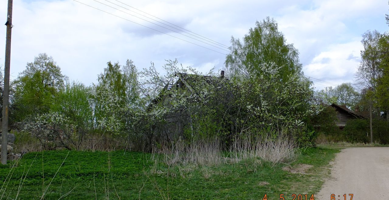 земля р-н Островский д Перестрелово Красногородск фото 5